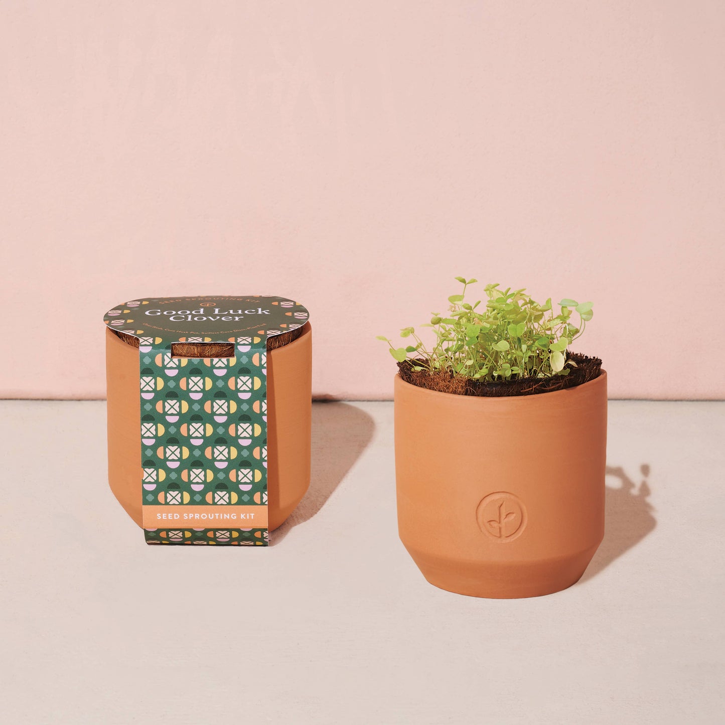 Tiny Terracotta Grow Kits by Modern Sprout