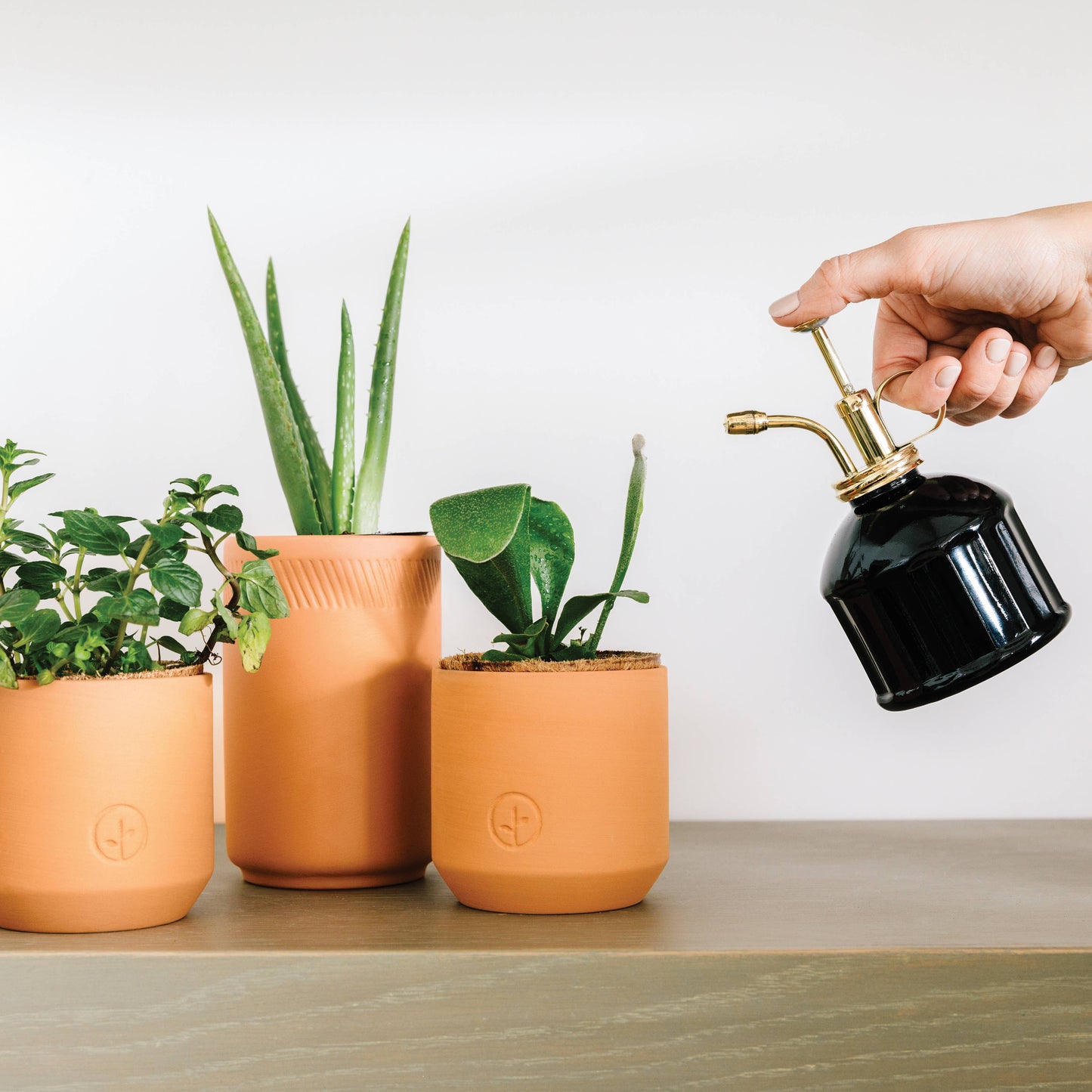 Tiny Terracotta Grow Kits by Modern Sprout