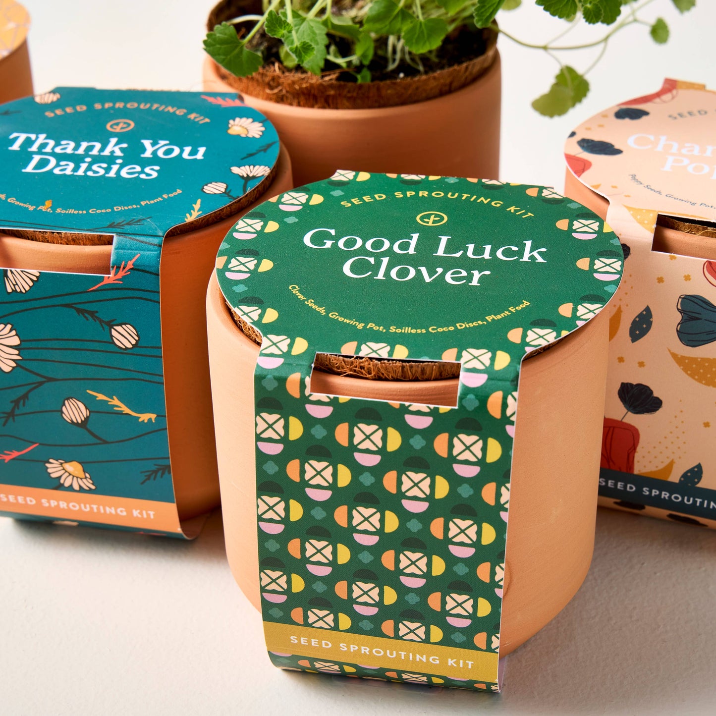 Tiny Terracotta Grow Kits by Modern Sprout